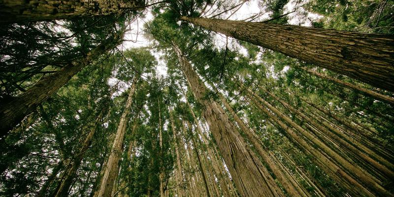 复古浪潮下的流量密码：道达广告如何在小红书、抖音持续制造爆款