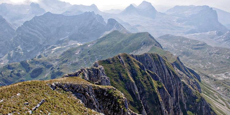 复古营销新引擎：道达广告如何用数据驱动，让紫色主题广告ROI飙升300%