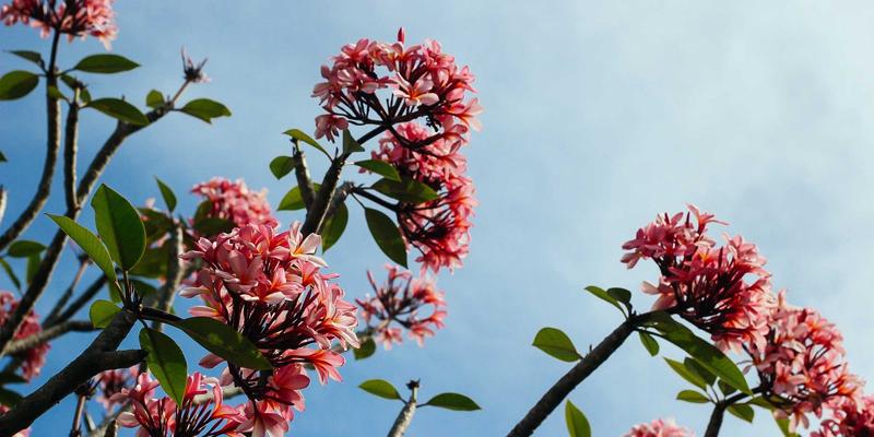 紫色风暴:道达广告如何用复古基因唤醒老字号,实现品牌年轻化破圈